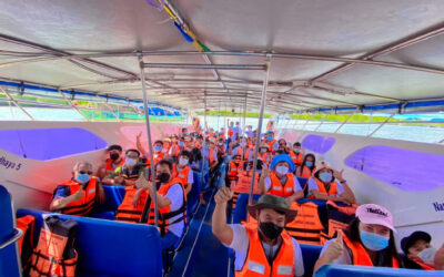 Annual travel activities